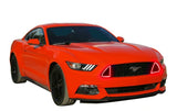Ford Mustang GT ColorFuse DRL Color Change grille LED Light RTR kit (2015-2017)